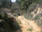 Imagen 096..jpg
