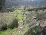 Imagen 099..jpg