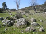 Imagen 098..jpg