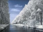 invierno..jpg