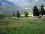 IMG_1420..jpg