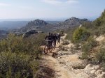 hoyo mirador 006..jpg