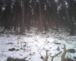 IMG00024..jpg