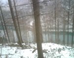 IMG00023..jpg