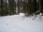 IMG_2335..jpg