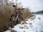 IMG_2329..jpg