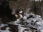 malla-sendazarra &.JPG