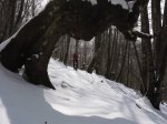 malla-sendazarra &.JPG