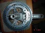 DSC05750..jpg