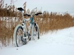 IMG_1992..jpg