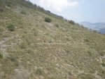 DSCN3491..JPG