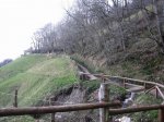 img_2110..jpg
