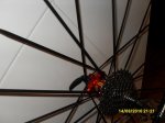 SDC10426..jpg