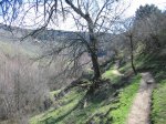 atazar 085..jpg