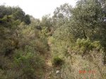 Previa 046 [800x60&.jpg
