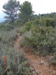 Previa 042 [800x60&.jpg