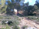 Imagen028..jpg