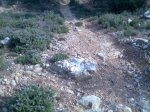 Imagen024..jpg