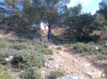 Imagen025..jpg