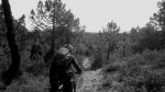 torrelaguna81_102&#.jpg