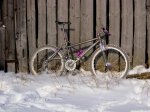 IMG_2253..jpg