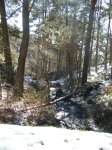 2010_0314rutaSoto&#100.jpg