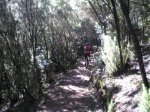 VIAJE TENERIFE 1 DE&.jpg