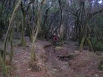 VIAJE TENERIFE 1 DE&.jpg