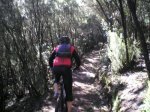 VIAJE TENERIFE 1 DE&.jpg