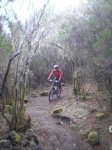 VIAJE TENERIFE 1 DE&.jpg