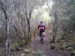 VIAJE TENERIFE 1 DE&.jpg