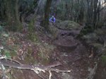 VIAJE TENERIFE 1 DE&.jpg