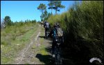 06..jpg