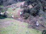 14032010_027.jpg
