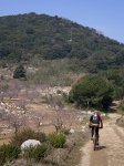 Castell SMiquel00&.JPG