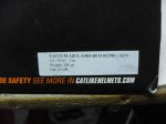 catlike 02..jpg
