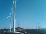 Copia de IMG00090-&.jpg