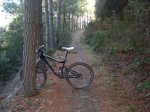 vallforners 023..jpg
