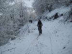 IMG_2652..jpg