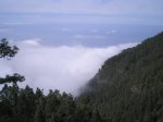 VIAJE TENERIFE 1 DE&.jpg