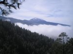 VIAJE TENERIFE 1 DE&.jpg