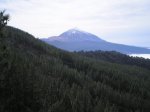 VIAJE TENERIFE 1 DE&.jpg