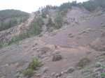 VIAJE TENERIFE 1 DE&.jpg