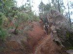 VIAJE TENERIFE 1 DE&.jpg