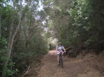 VIAJE TENERIFE 1 DE&.jpg