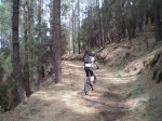 VIAJE TENERIFE 1 DE&.jpg