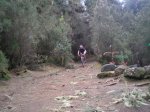 VIAJE TENERIFE 1 DE&.jpg