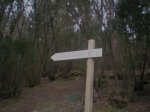 VIAJE TENERIFE 1 DE&.jpg
