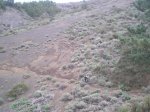 VIAJE TENERIFE 1 DE&.jpg