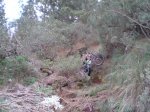 VIAJE TENERIFE 1 DE&.jpg